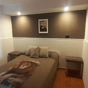 Apartamento de 1 Dormitorio